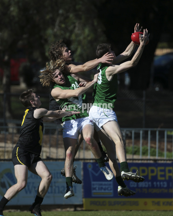 AFL Vic 2019 Young Guns Series - Game 3 - 696247