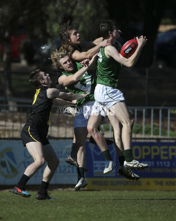 AFL Vic 2019 Young Guns Series - Game 3 - 696248