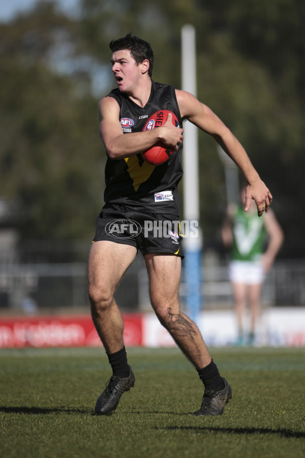 AFL Vic 2019 Young Guns Series - Game 3 - 696213