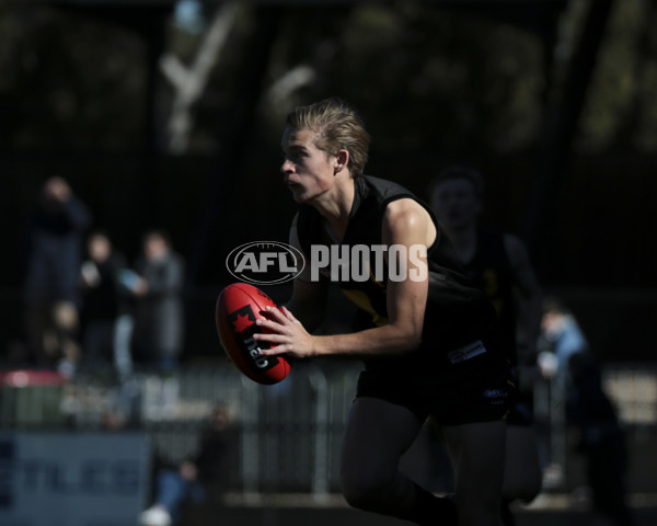 AFL Vic 2019 Young Guns Series - Game 3 - 696259