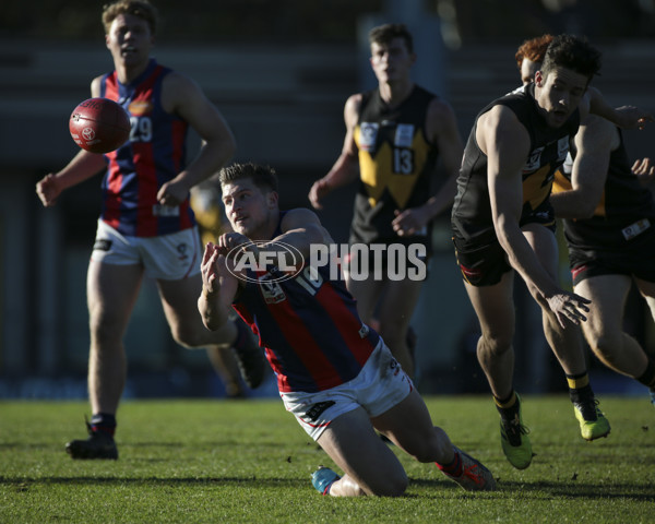 VFL 2019 Round 16 - Werribee v Port Melbourne - 696552