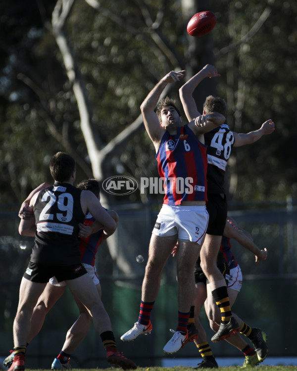 VFL 2019 Round 16 - Werribee v Port Melbourne - 696798