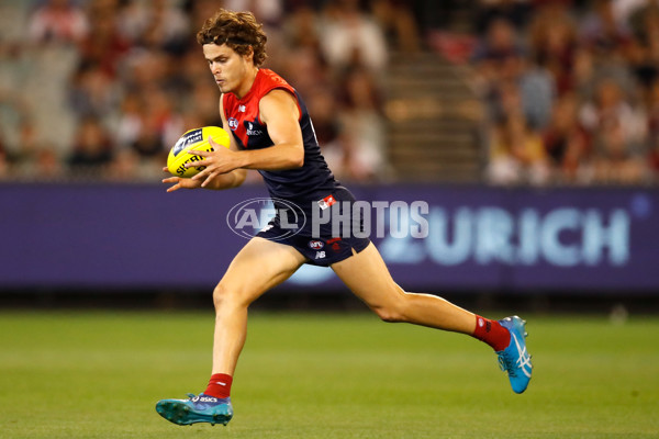 AFL 2019 Round 03 - Melbourne v Essendon - 660657