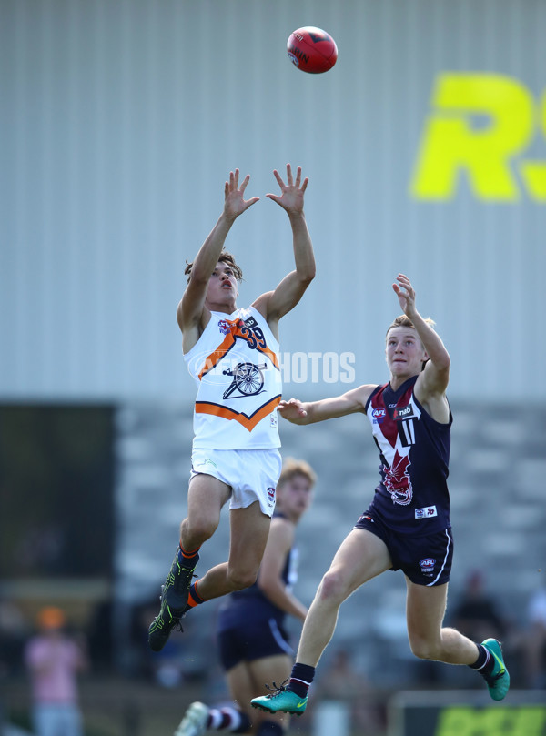 AFL 2019 NAB League - Sandringham Dragons v Calder Cannons - 657271