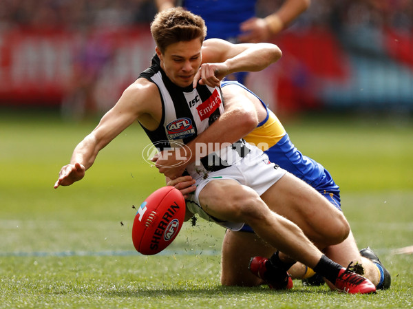 AFL 2018 Toyota AFL Grand Final - West Coast v Collingwood - 635097