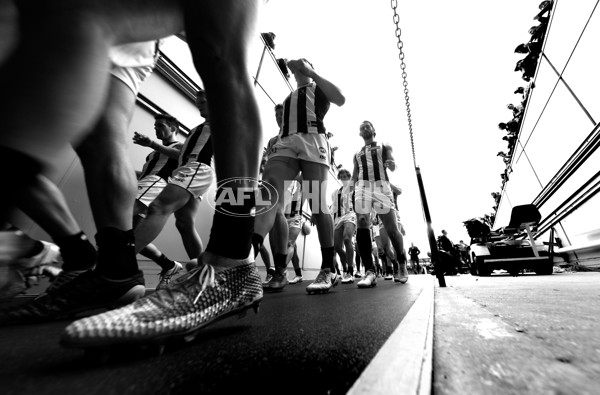 AFL 2018 Toyota AFL Grand Final - West Coast v Collingwood - 635116