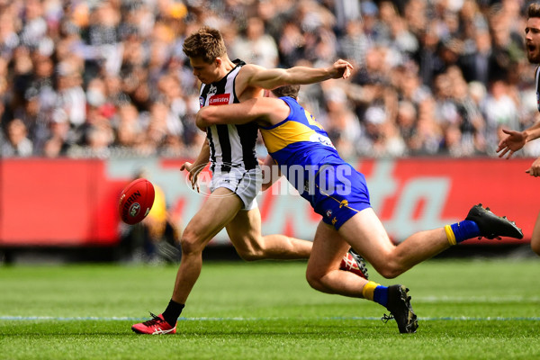 AFL 2018 Toyota AFL Grand Final - West Coast v Collingwood - 634969
