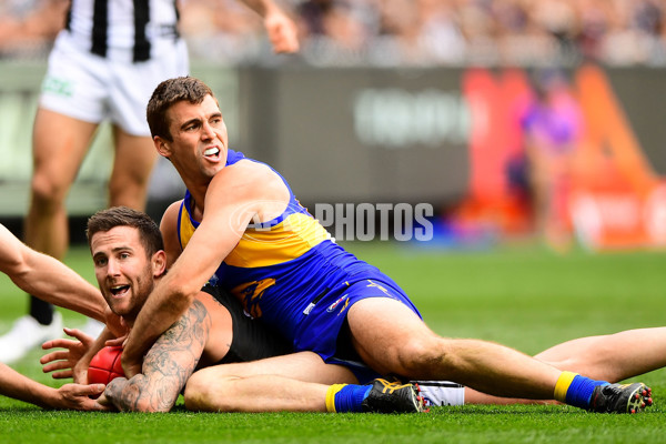 AFL 2018 Toyota AFL Grand Final - West Coast v Collingwood - 635047