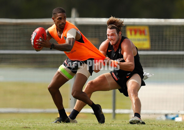 AFL 2019 Training - Blues on the Sunshine Coast - 645682