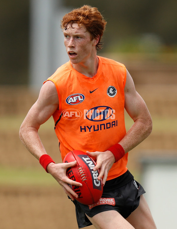 AFL 2019 Training - Blues on the Sunshine Coast - 645733