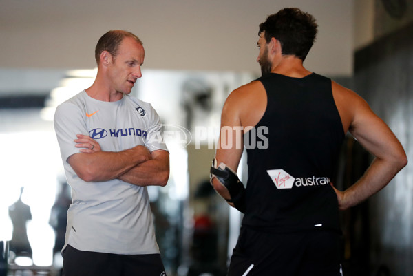 AFL 2019 Training - Blues on the Sunshine Coast - 645855