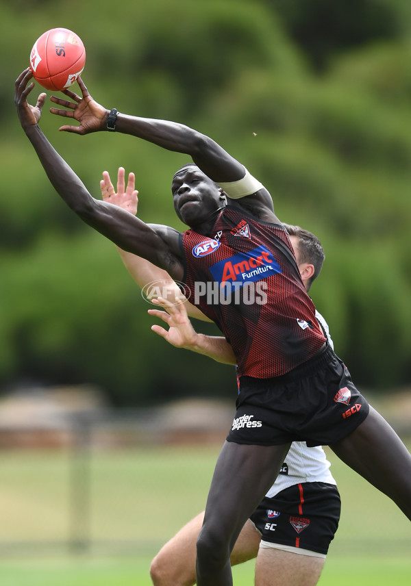 AFL 2019 Training - Essendon 190219 - 647600