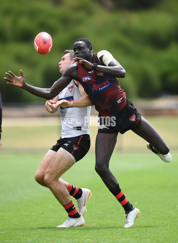 AFL 2019 Training - Essendon 190219 - 647602