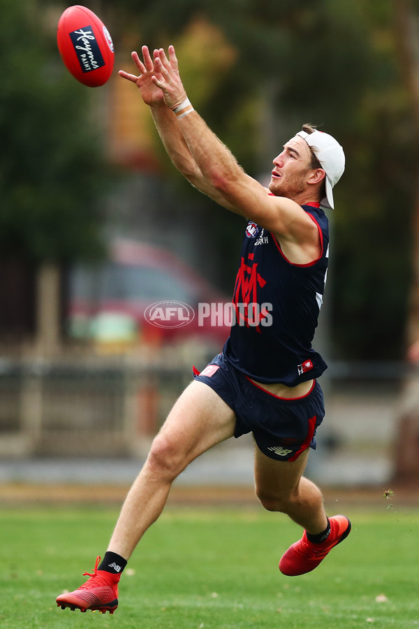 AFL 2019 Training - Melbourne 180219 - 647668