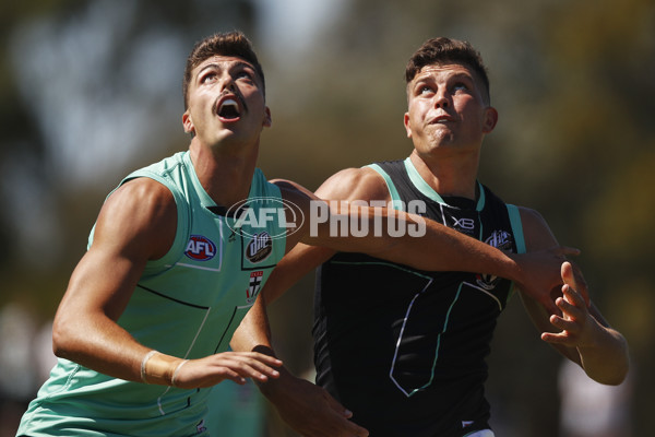 AFL 2019 Training - St Kilda Intraclub 230219 - 648538