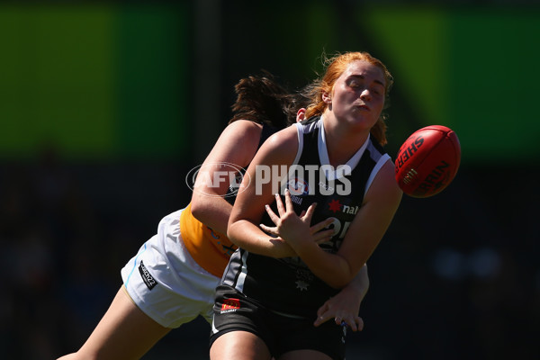 AFL 2019 U18 Girls – Bendigo Pioneers v GWV Rebels - 650196