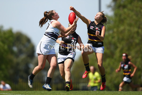 AFL 2019 U18 Girls - Northern Knights v Murray Bushrangers - 650230