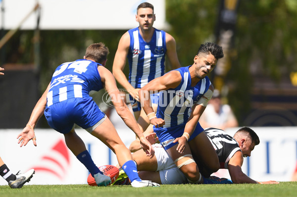 AFL 2019 JLT Community Series - North Melbourne v St Kilda - 650241