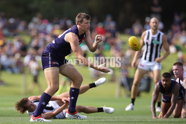 AFL 2019 JLT Community Series - Fremantle v Collingwood - 651694