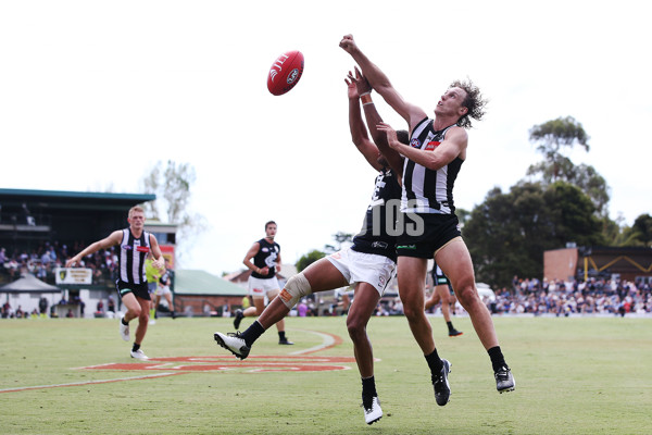 AFL 2019 JLT Community Series - Collingwood v Carlton - 653292