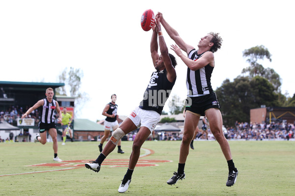 AFL 2019 JLT Community Series - Collingwood v Carlton - 653293