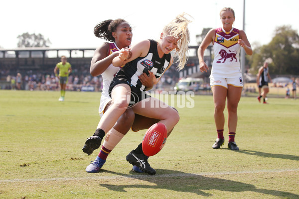 AFLW 2019 Round 07 - Collingwood v Brisbane - 654177