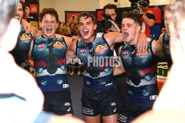 AFL 2019 Round 01 - Western Bulldogs v Sydney - 656047