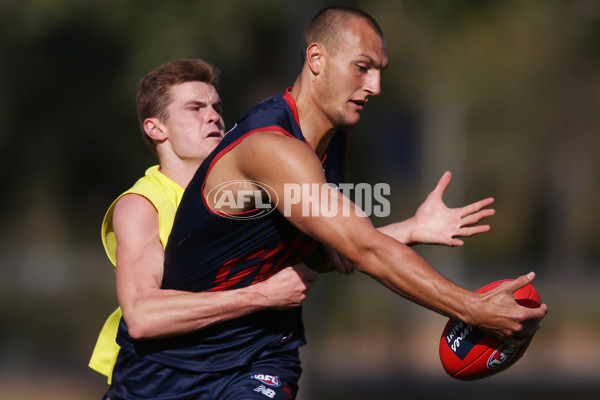 AFL 2019 Training - Melbourne 270319 - 657551