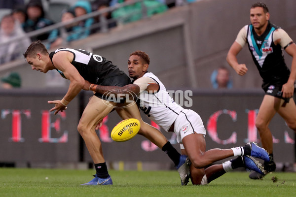 AFL 2019 Round 02 - Port Adelaide v Carlton - 658364