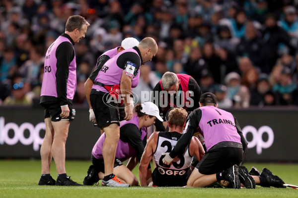 AFL 2019 Round 02 - Port Adelaide v Carlton - 658408