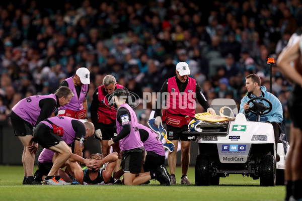 AFL 2019 Round 02 - Port Adelaide v Carlton - 658410