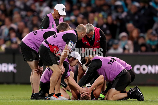 AFL 2019 Round 02 - Port Adelaide v Carlton - 658415