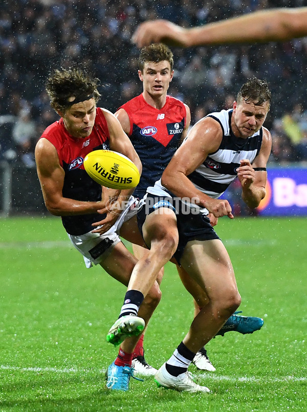 AFL 2019 Round 02 - Geelong v Melbourne - 658911