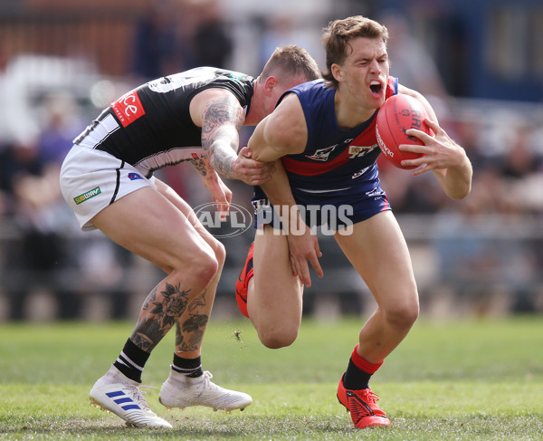 VFL 2019 Round 01 - Coburg v Collingwood - 660954