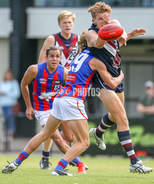 NAB League Boys Rd 3 - Sandringham Dragons v Oakleigh Chargers - 660882