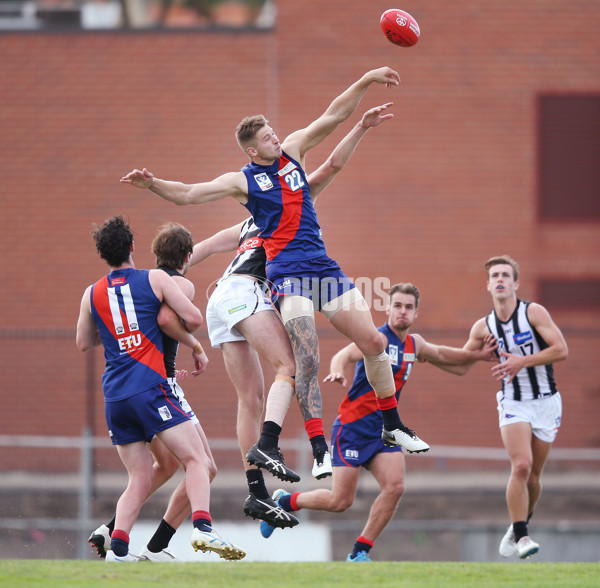 VFL 2019 Round 01 - Coburg v Collingwood - 661042