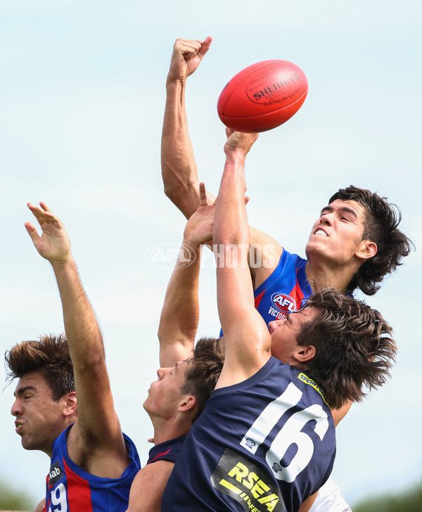 NAB League Boys Rd 3 - Sandringham Dragons v Oakleigh Chargers - 661454