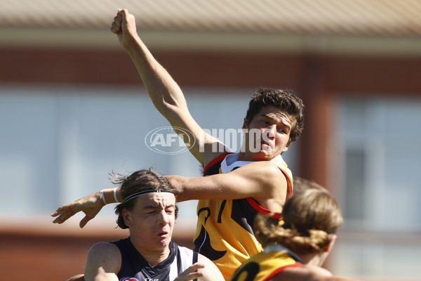 NAB League Boys Rd 3 - Dandenong Stingrays v Geelong Falcons - 661866