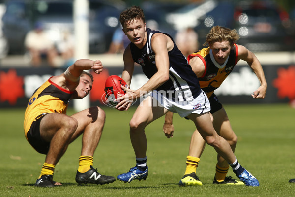 NAB League Boys Rd 3 - Dandenong Stingrays v Geelong Falcons - 661868