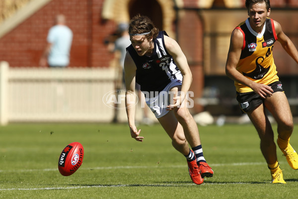 NAB League Boys Rd 3 - Dandenong Stingrays v Geelong Falcons - 661829