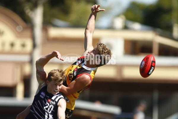 NAB League Boys Rd 3 - Dandenong Stingrays v Geelong Falcons - 661837