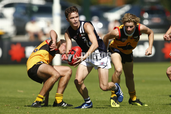 NAB League Boys Rd 3 - Dandenong Stingrays v Geelong Falcons - 661869