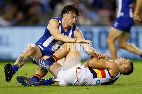 AFL 2019 Round 04 - North Melbourne v Adelaide - 663751