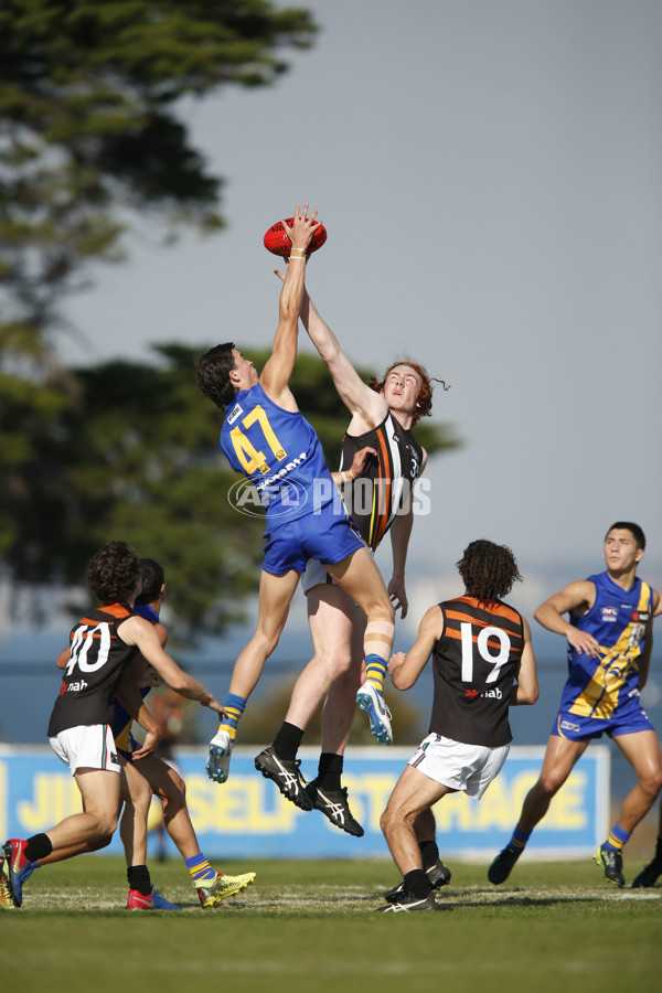 NAB League Boys Rd 4 - Western v NT - 664154