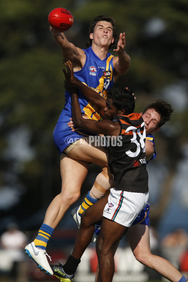 NAB League Boys Rd 4 - Western v NT - 664144