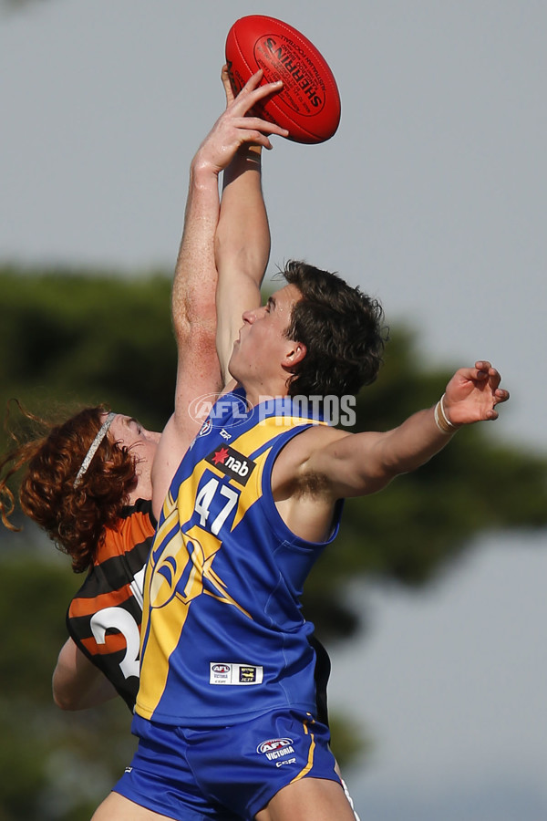 NAB League Boys Rd 4 - Western v NT - 664186