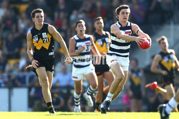 VFL 2019 Round 03 - Werribee v Geelong - 665818