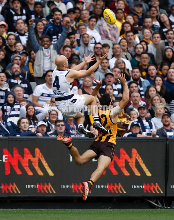 AFL 2019 Round 05 - Hawthorn v Geelong - 666548