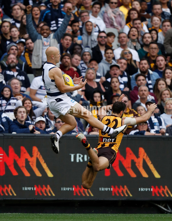 AFL 2019 Round 05 - Hawthorn v Geelong - 666546