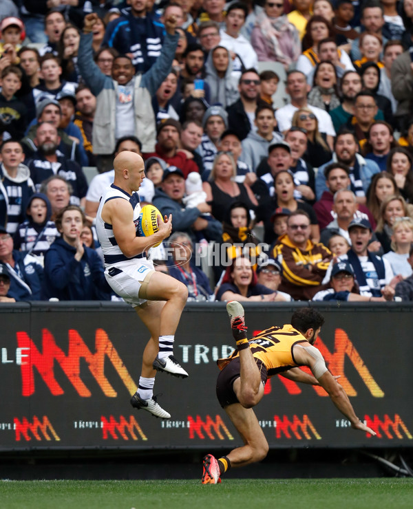 AFL 2019 Round 05 - Hawthorn v Geelong - 666565